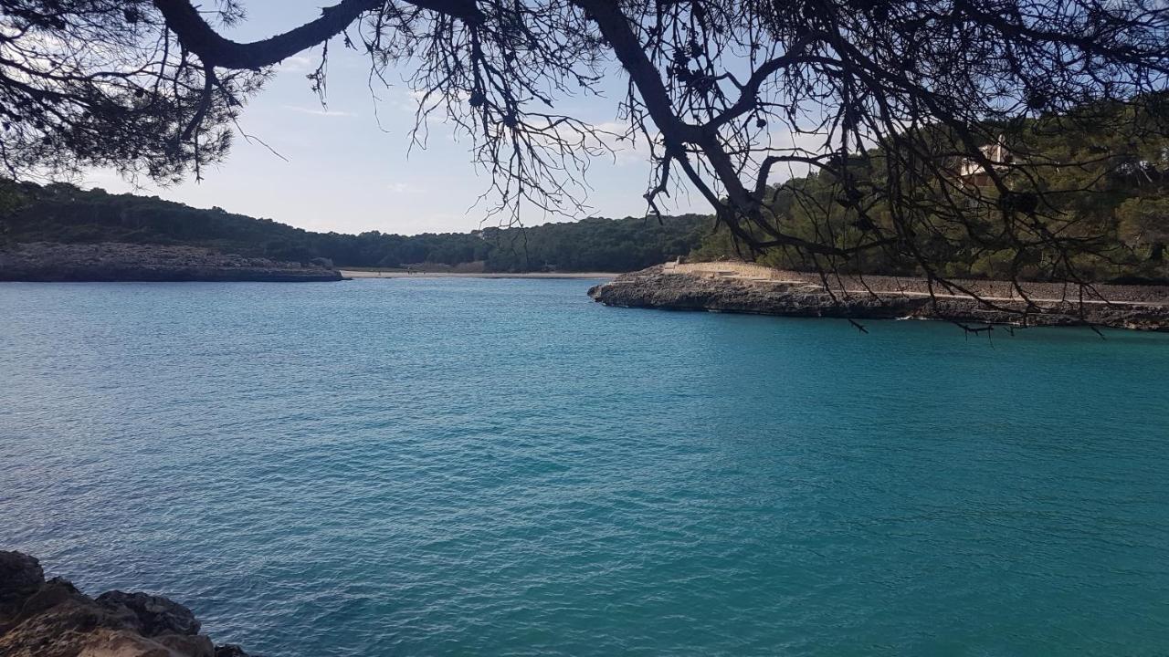 Ses Rotes Сasa de vacaciones